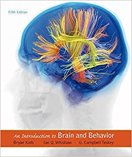 An Introduction To Brain And Behavior