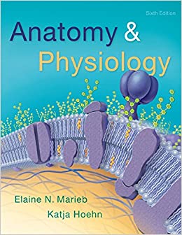 Anatomy And Physiology