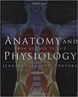 Anatomy And Physiology From Science to Life