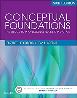 Conceptual Foundations The Bridge Professional Nursing