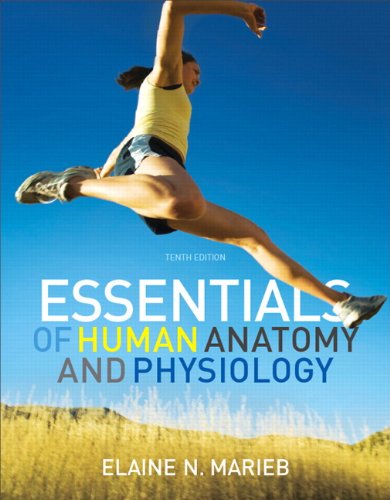 Test Bank for Essentials of Human Anatomy & Physiology 10th Edition